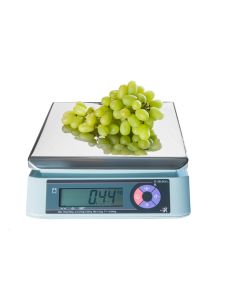 Compact Trade Approved Bench Scale - Ishida IPC