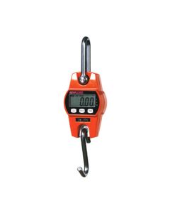 Light Duty Crane Scale  - Anyload OCSL
