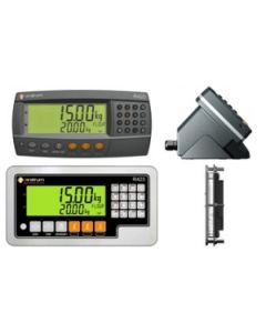 Rinstrum Batching Indicator (R42x-K411)