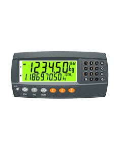 Rinstrum General Purpose Indicator (R42x-K401/2 Series)
