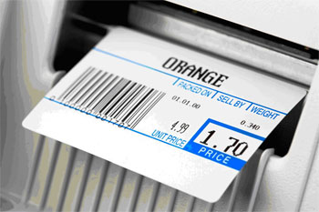 Labels and paper rolls now on our online store
