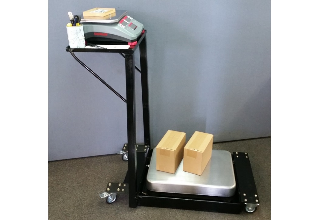 counting scale