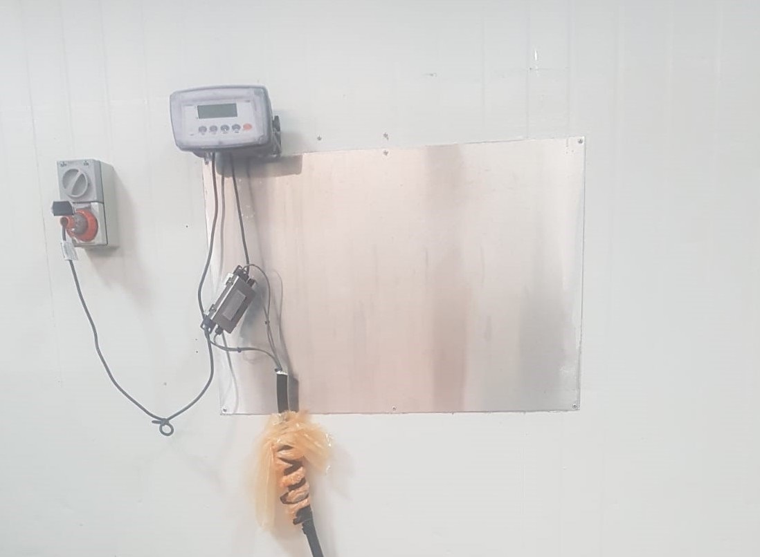 Industrial Scale Rinstrum IP69K Indicator (X320)