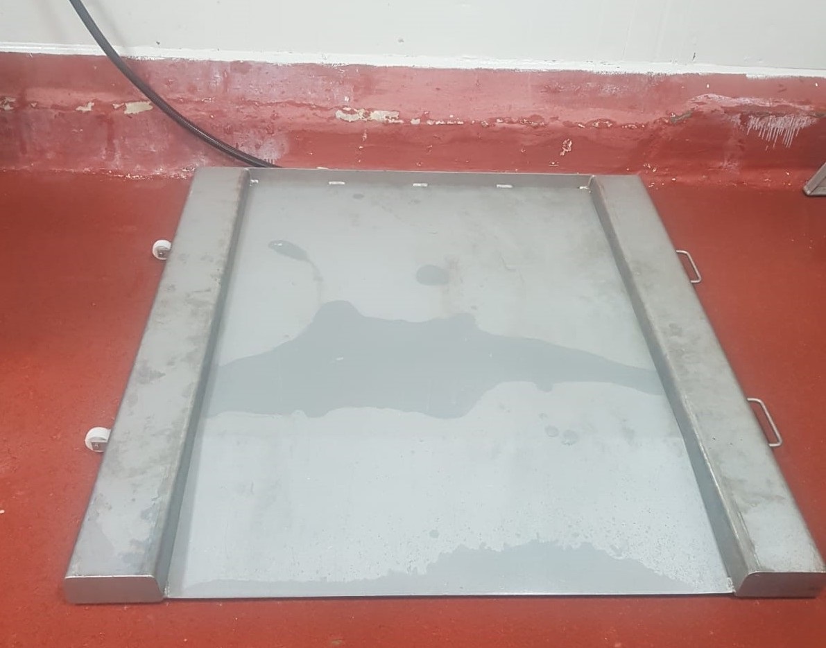 Stainless Steel Platform Scale