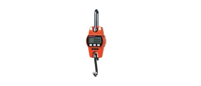 Light Duty Crane Scale - Anyload OSCL