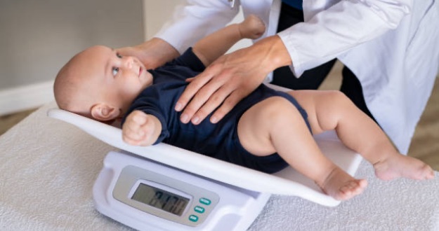 baby Scales